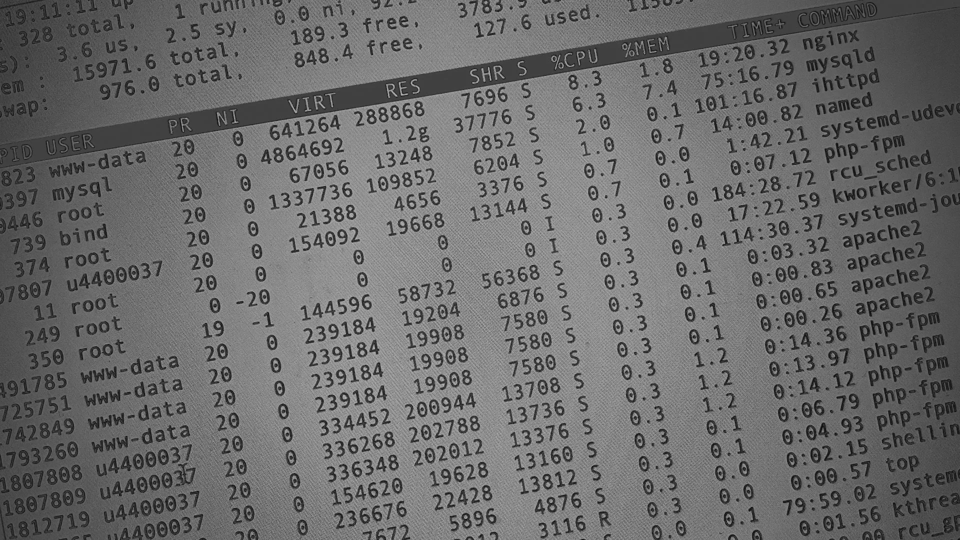 Настройка сервера в Рузе